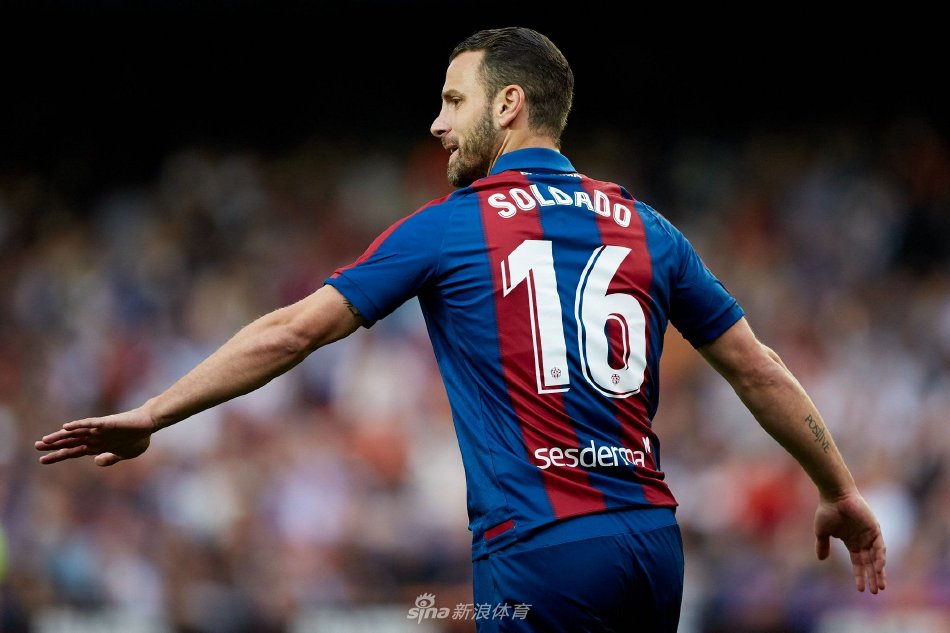 互动亮点 互动亮点