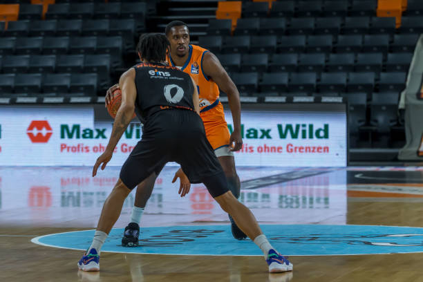 森林狼的新 森林狼的新